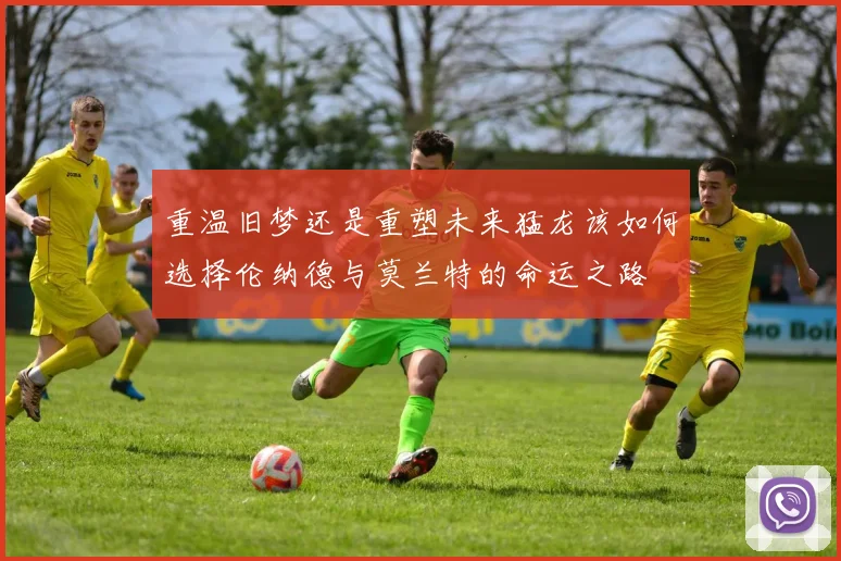 重温旧梦还是重塑未来猛龙该如何选择伦纳德与莫兰特的命运之路